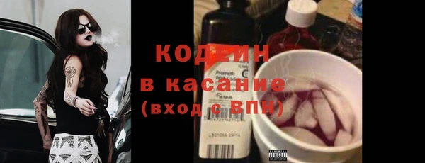 ГАЛЛЮЦИНОГЕННЫЕ ГРИБЫ Арсеньев
