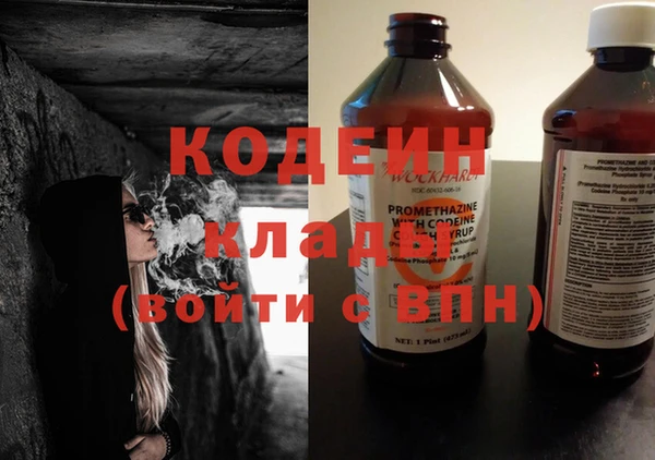 ГАЛЛЮЦИНОГЕННЫЕ ГРИБЫ Арсеньев